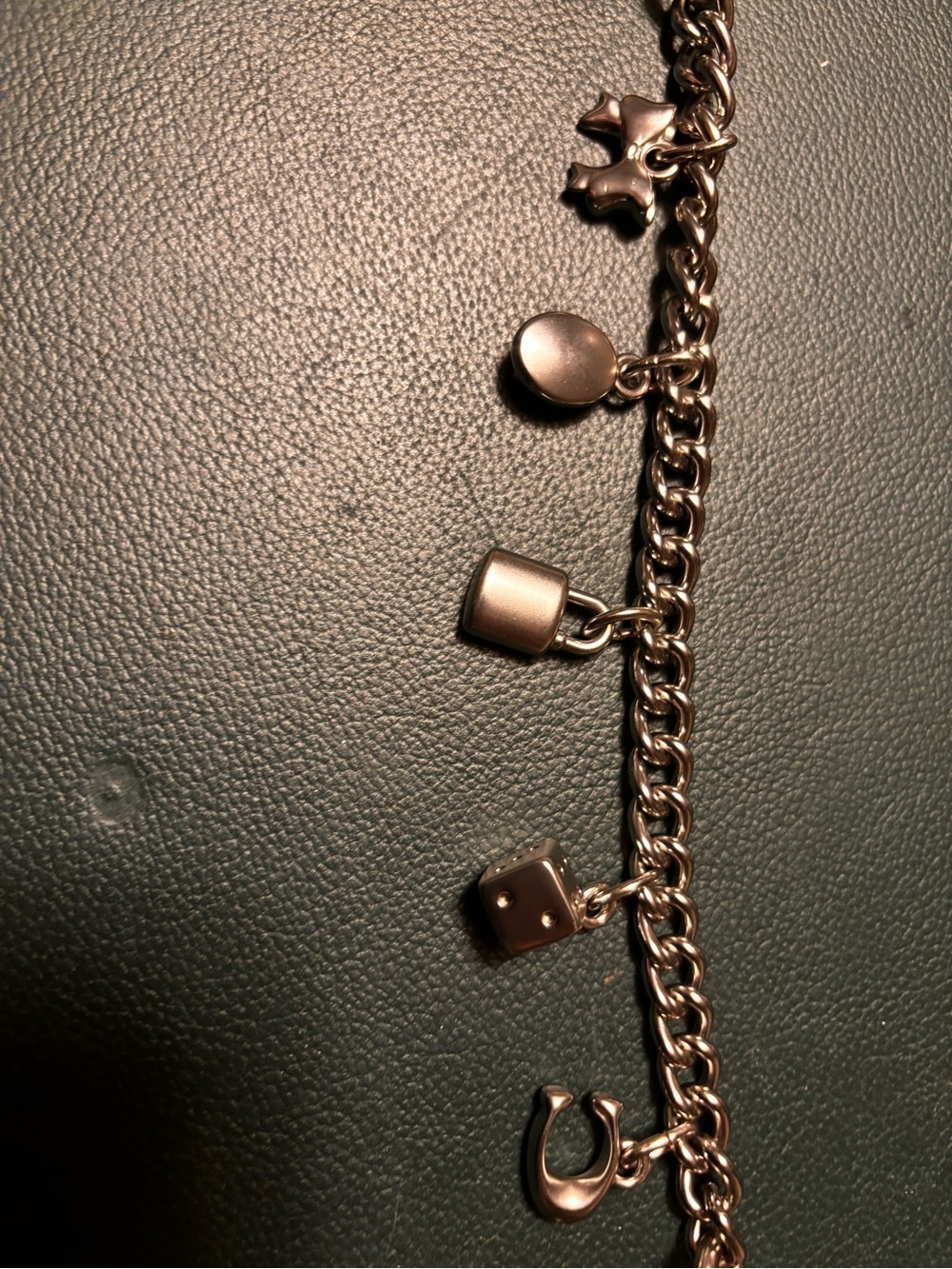 Coach SilverMotif Bag Charm